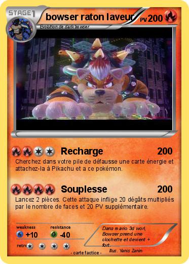 Pokemon bowser raton laveur