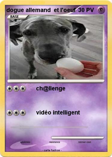 Pokemon dogue allemand  et l'oeuf