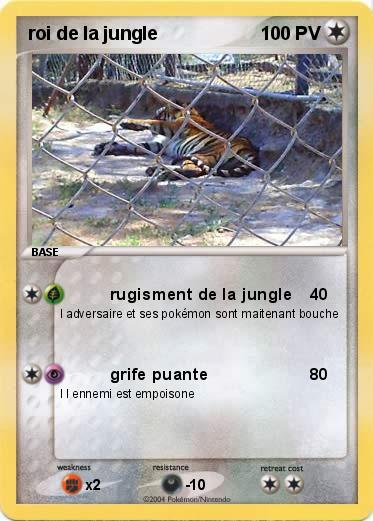 Pokemon roi de la jungle