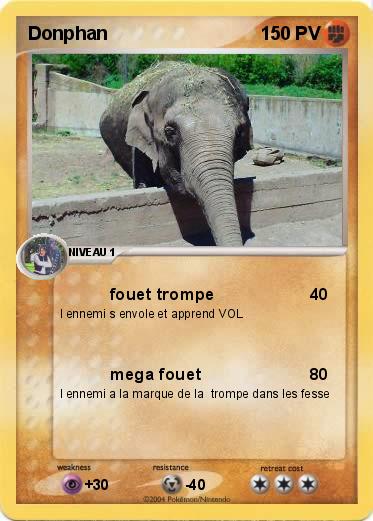 Pokemon Donphan
