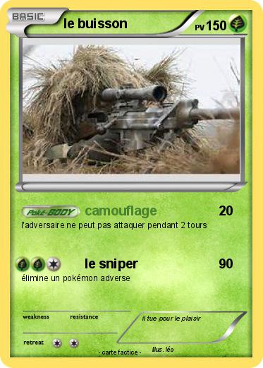 Pokemon le buisson