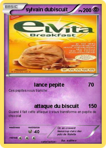 Pokemon sylvain dubiscuit
