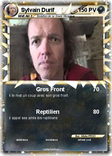 Pokemon Sylvain Durif