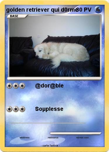 Pokemon golden retriever qui d0rme