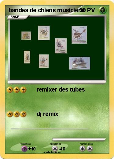 Pokemon bandes de chiens musiciens
