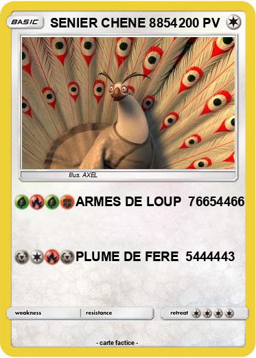 Pokemon SENIER CHENE 8854