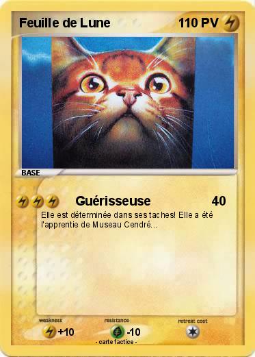 Pokemon Feuille de Lune