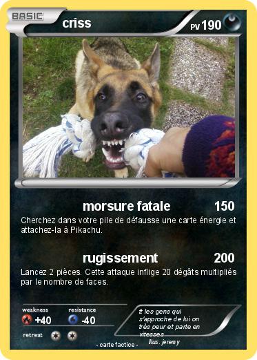 Pokemon criss