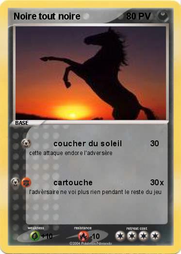 Pokemon Noire tout noire