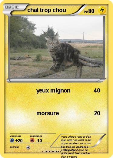 Pokemon chat trop chou