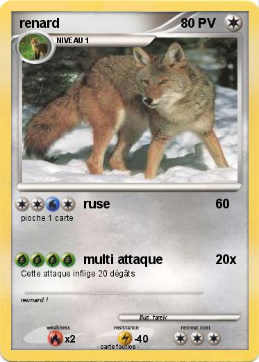Pokemon renard