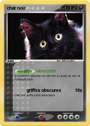 Pokemon chat noir