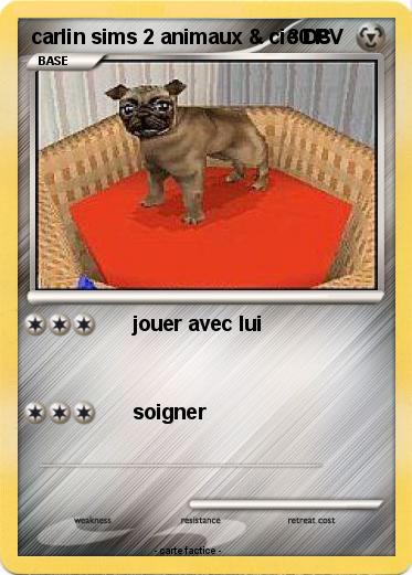 Pokemon carlin sims 2 animaux & cie DS