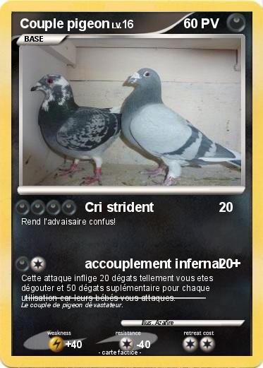 Pokemon Couple pigeon