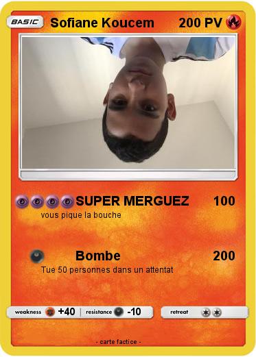 Pokemon Sofiane Koucem