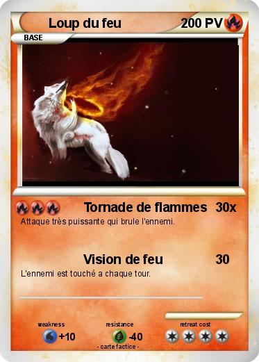 Pokemon Loup du feu