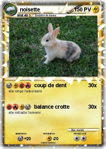 Pokemon noisette