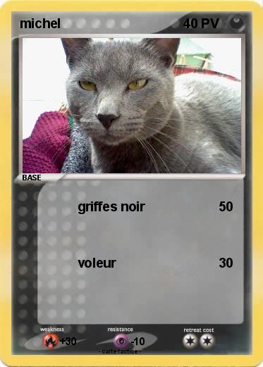 Pokemon michel