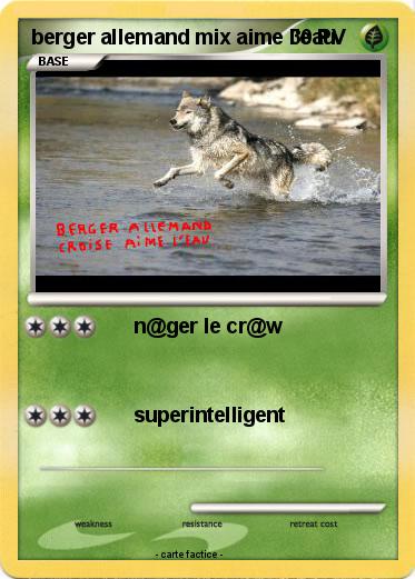 Pokemon berger allemand mix aime l'eau