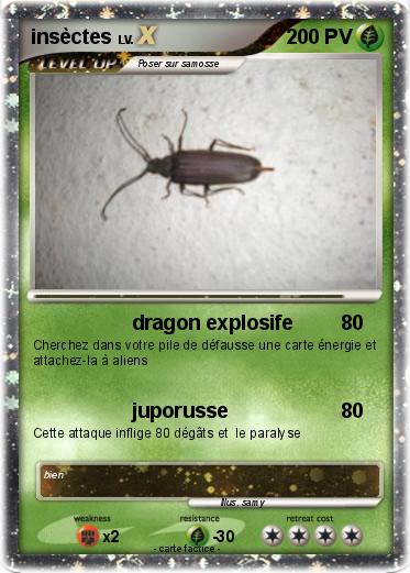 Pokemon insèctes
