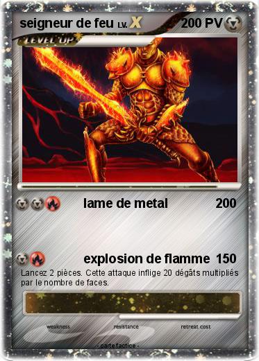 Pokemon seigneur de feu
