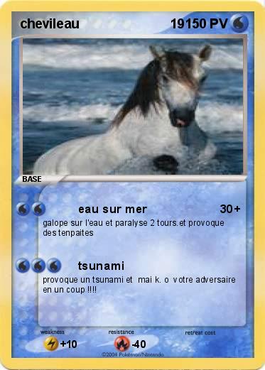 Pokemon chevileau                         19        