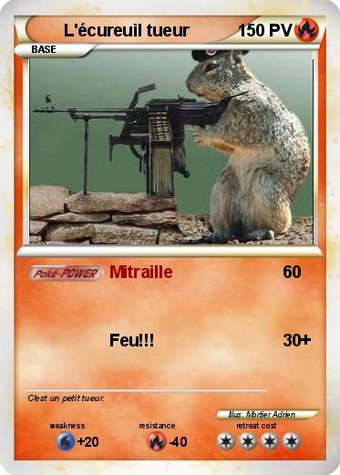 Pokemon L'écureuil tueur