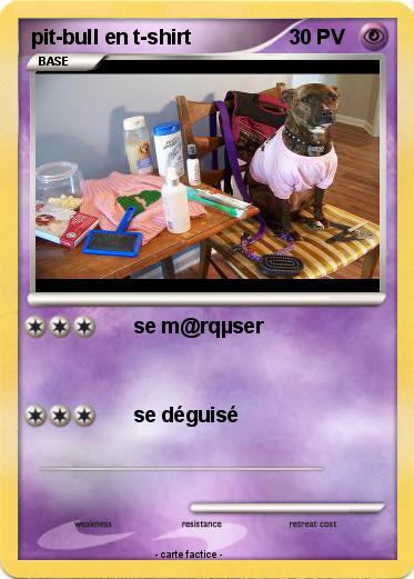 Pokemon pit-bull en t-shirt