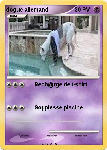 Pokemon dogue allemand