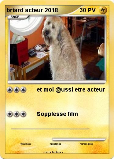 Pokemon briard acteur 2018