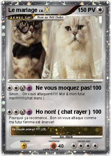 Pokemon Le mariage
