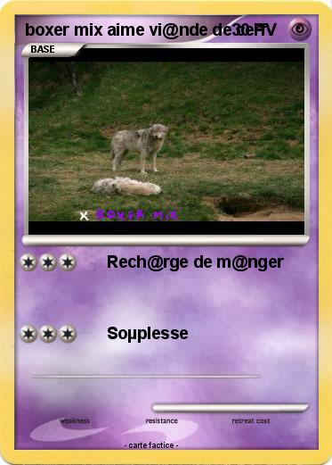 Pokemon boxer mix aime vi@nde de cerf