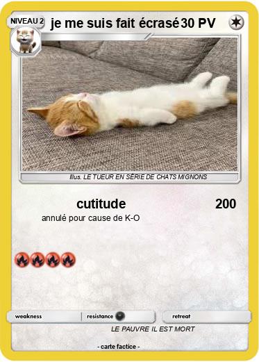 Pokemon je me suis fait écrasé