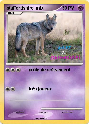 Pokemon staffordshire  mix