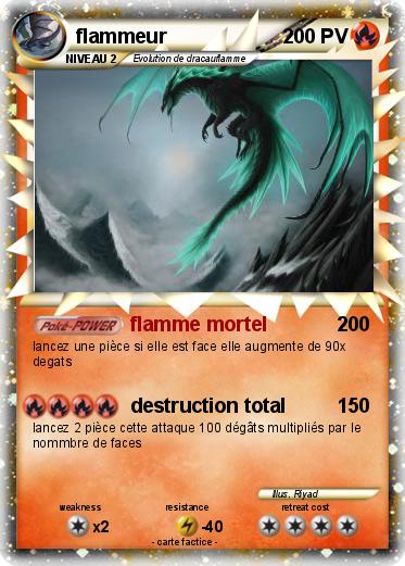 Pokemon flammeur