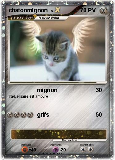 Pokemon chatonmignon