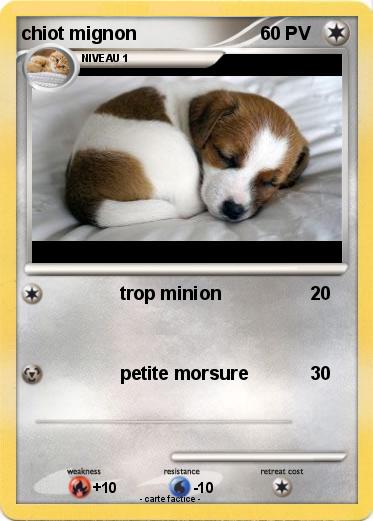 Pokemon chiot mignon