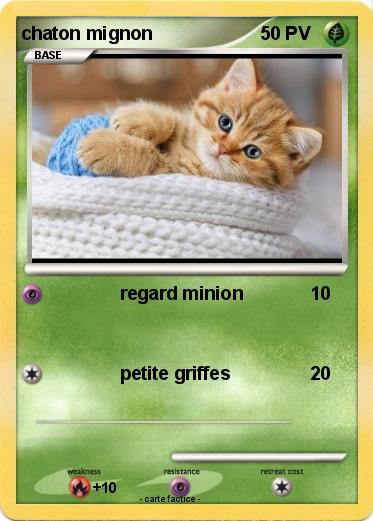 Pokemon chaton mignon