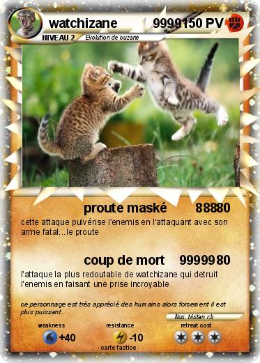 Pokemon watchizane          9999