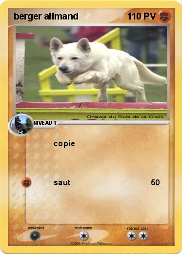 Pokemon berger allmand  