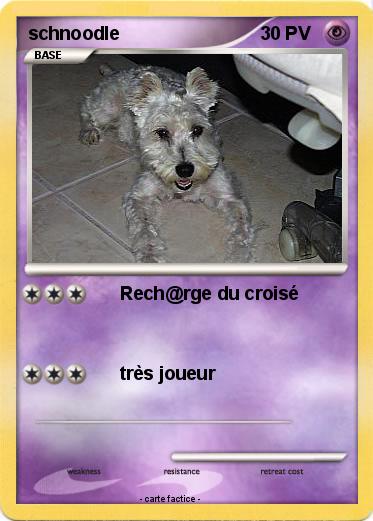 Pokemon schnoodle