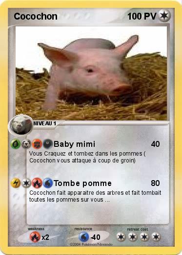 Pokemon Cocochon
