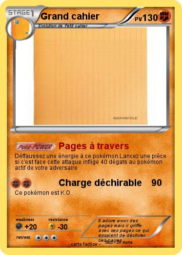 Pokemon Grand cahier
