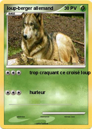 Pokemon loup-berger allemand