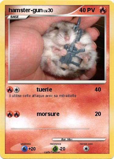 Pokemon hamster-gun