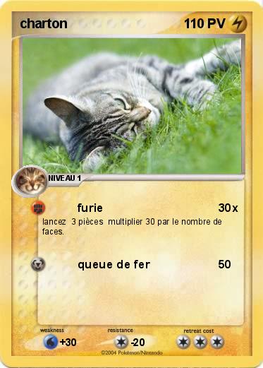 Pokemon charton