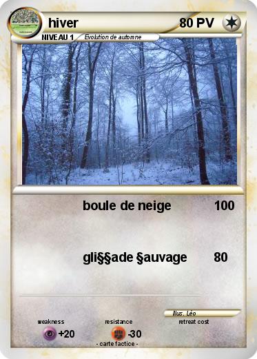Pokemon hiver