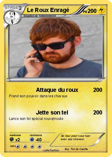 Pokemon Le Roux Enragé