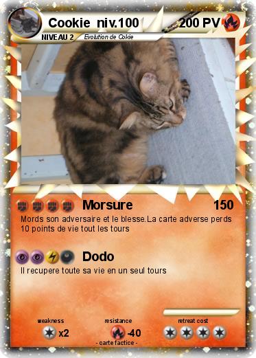 Pokemon Cookie  niv.100