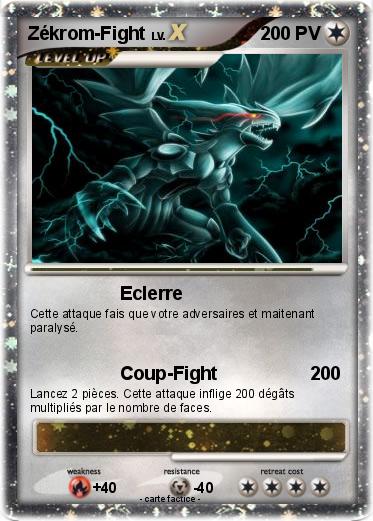 Pokemon Zékrom-Fight